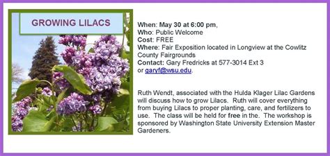 Growing Lilacs Cowlitz County Washington State University