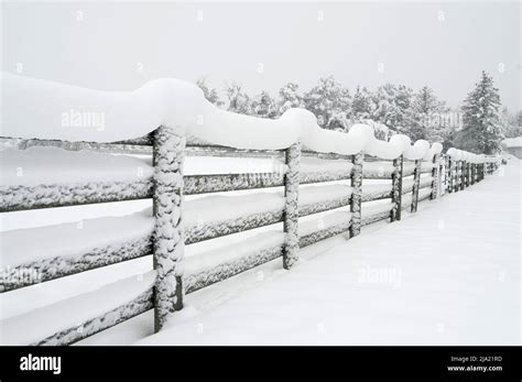 Late Spring snowstorm in Colorado Springs, May 20-21, 2022 Stock Photo