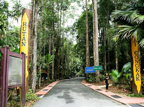 Sungai Congkak Recreational Forest Rainforest Selangor Travelmalaysia