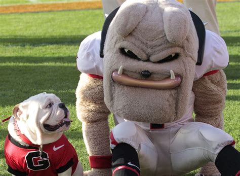 15 For 15 College Footballs Best Mascots College Football Mascot