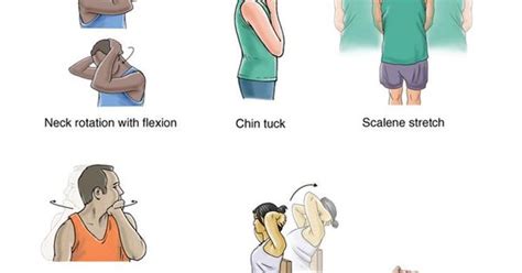 Neck Spasm Exercise Neck Spasms Exercises And Neck Exercises