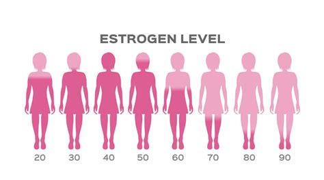 estrogen levels in women health daily advice