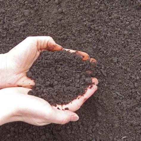 The calcium level is 2.3% which is a. Topsoil & Compost Products | Greely Sand & Gravel