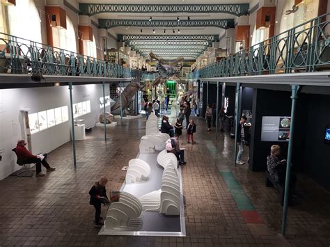 Le musée d'histoire naturelle - Hello Lille - L'agence d ...