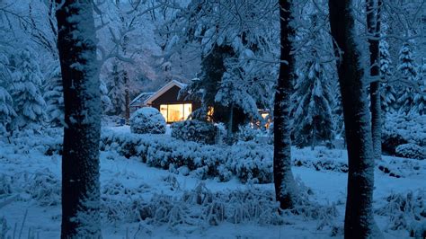 Free Download Hd Wallpaper House Log Cabin Snowy Winter Forest