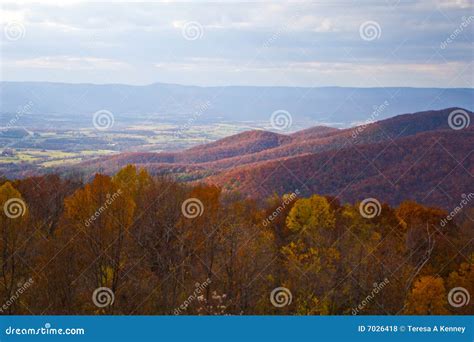 Autumn Shenandoah Valley Stock Photo Image Of Fall 7026418