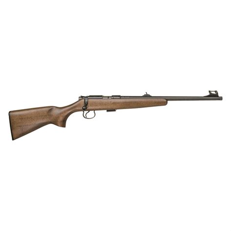 Cz Usa Youth 455 Scout Bolt Action 22lr 165 Threaded Barrel 1