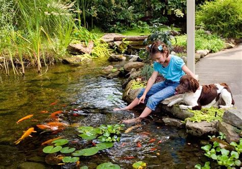 Then, use the net to scoop out the muck and sludge that's been sitting at the bottom of the pond. Outdoor Pond | Pond maintenance, Ponds backyard, Water features