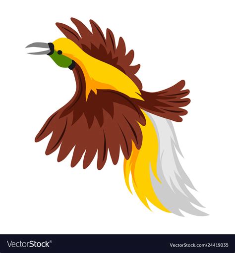Bird Of Paradise Tropical Exotic Royalty Free Vector Image