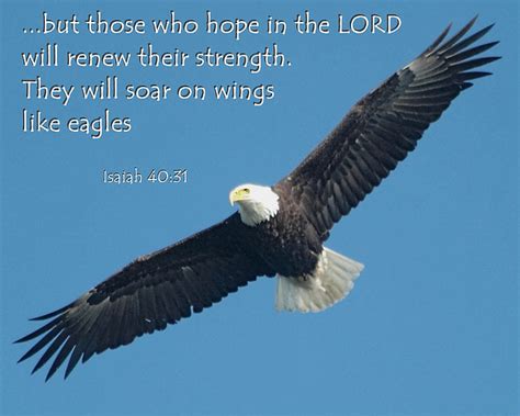 When she was 12 years old her mother rona went to the usa to work so that their family will have a better future. The Florida Keyes!: HOW DO WE SOAR ON WINGS LIKE EAGLES?