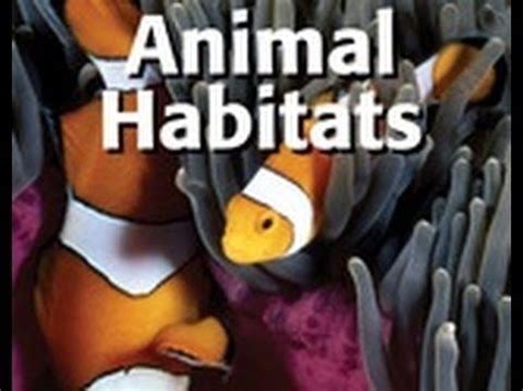 Habitat destruction is defined as changing the area in which a plant, animal, or other organism lives to the point where the species can no longer survive. Habitat-Meaning and Definition-Cartoon Video for kids ...