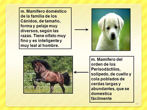 Textos Descriptivos Animales Images