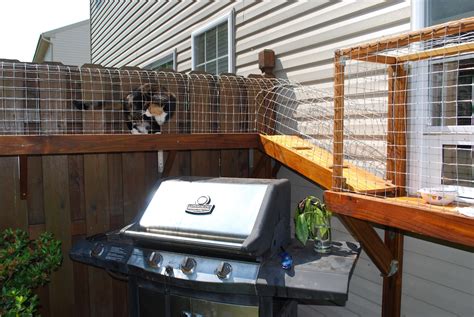 As the winter season progresses, outdoor cats will frantically search for shelter and a place to stay warm. Easy DIY Cat Enclosure to keep your indoor cats happy and safe