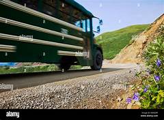 Access Denali Universal Services Like A Pro The Insiders Guide