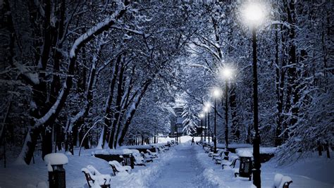Free Download Winter Night Desktop Wallpaper 1360x768 For Your