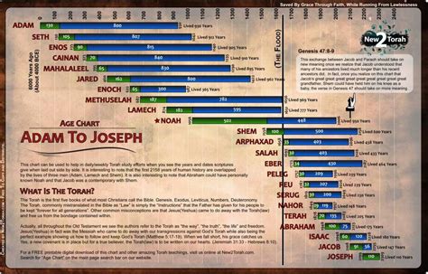 Creation The Written Truth World History Bible Chronology Part Xx