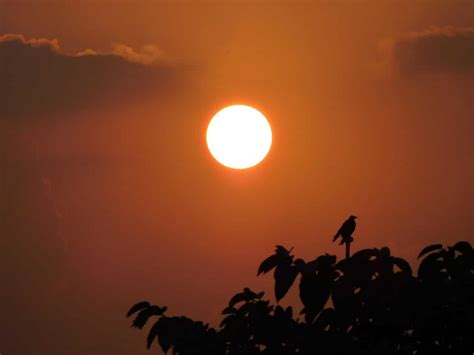 DEVELOPING: Record-shattering heat wave scorches Europe