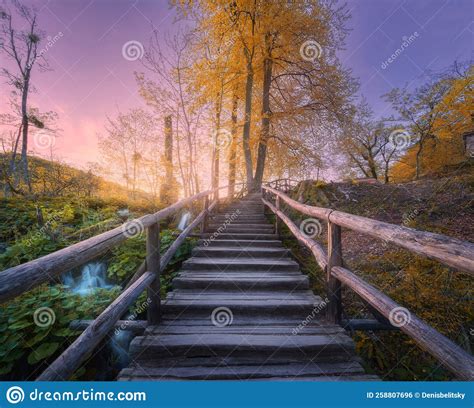 Wooden Stairs In Forest At Sunset In Autumn Plitvice Lakes Stock Photo