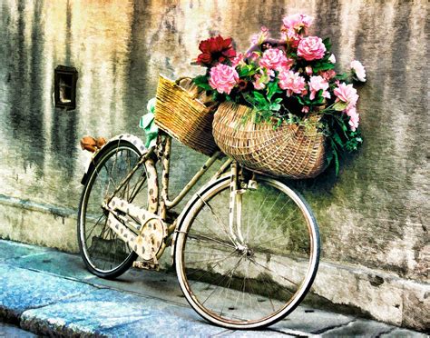Flower Bike Collection By Marvin Blaine Ubicaciondepersonascdmxgobmx