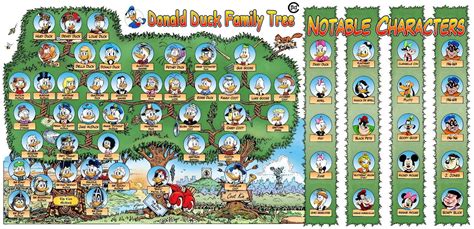 A family tree, drawn by don rosa lays out many of the characters who appeared in the comics over the years and places them in an understandable order. The family tree of Donald Duck : disney