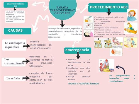 Mapa Mental De Rcp Ologia The Best Porn Website