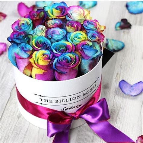 10 Rosas En Caja Que Te Encantaría Recibir De Regalo