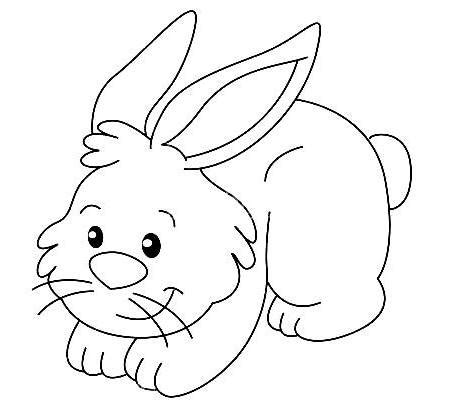 Dibujos de conejos para colorear - Reino animal