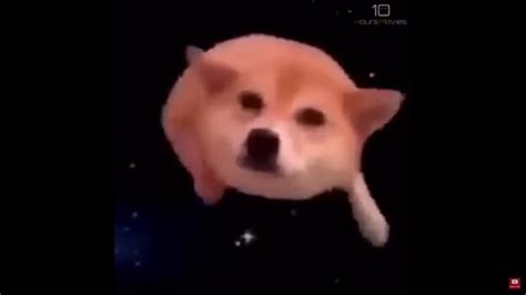 Space Doggo Shooting Stars Youtube