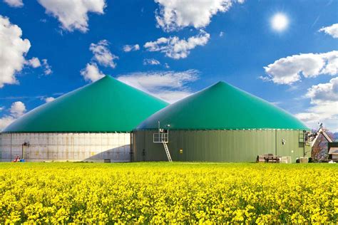 Using Biogas Resources For Sustainable Affordable Heat Supply Mwm