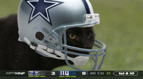 Social Media Had Jokes About The Black Cat Taking Over Monday Night