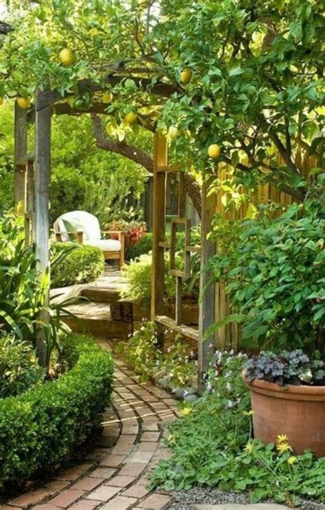 Inspiring ideas and helpful tips for transforming your outdoor space. Secret garden room on my patio | Cottage garden design ...
