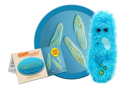 Paramecium Giant Microbe Original