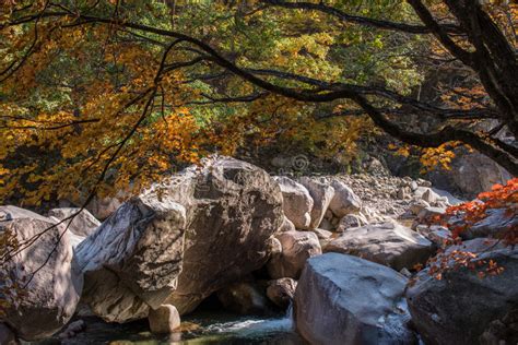 Nature Stream In Autumn Leaves And Big Rocks In Mountain Stock Photo