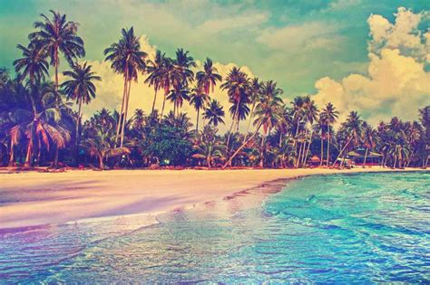 Paradise Wallpaper for Android - APK Download