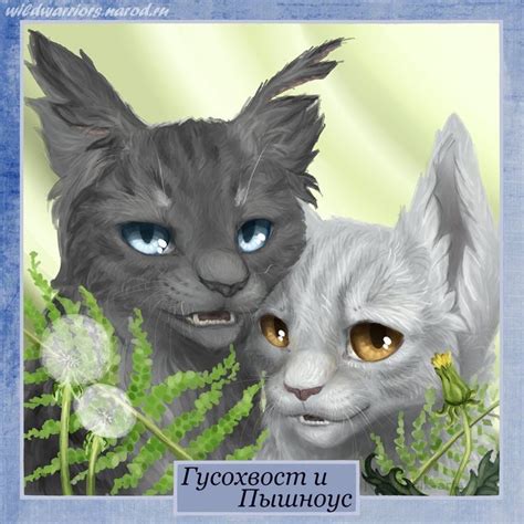 They are highly respected by all the clans. 9 best images about Medicine Cats on Pinterest | Medicine ...