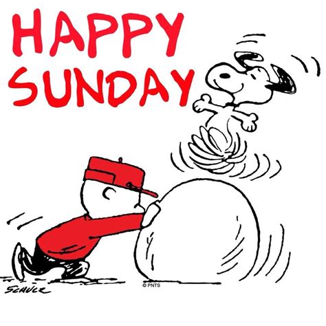 Charlie Snoopy Happy Sunday Quotes Happy Sunday Quotes Snoopy Quotes
