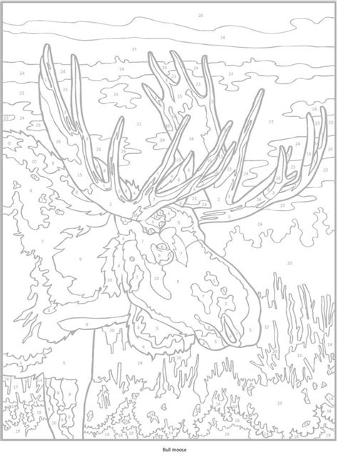 Welcome to Dover Publications | Animal coloring pages, Coloring pages