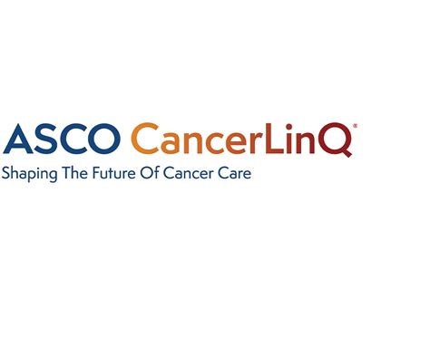 Supported Programs Conquer Cancer The Asco Foundation