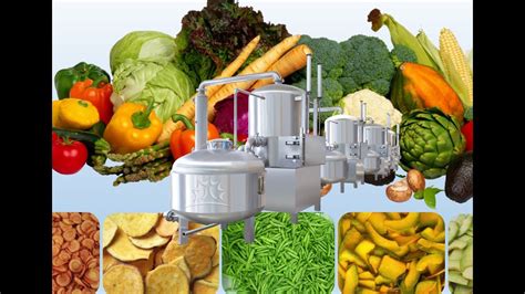 Fruits And Vegetables Vacuum Frying Machines Youtube