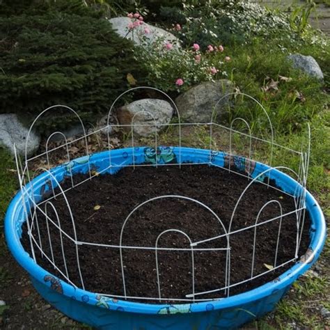 While for wider awareness and industry expenses. Beach Petals: RECYCLE YOUR OLD PLASTIC KIDDIE POOL