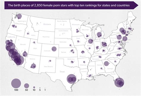 What The Average American Porn Star Looks Like Infographic