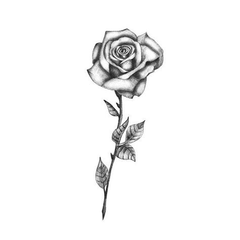 Vorlagen für kleine tattoos mit symbolen. Realistische schwarz und weiß rose, ideal für Blumen ...