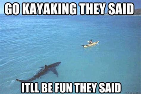 The 21 Funniest Shark Memes Ever Gallery Worldwideinterweb