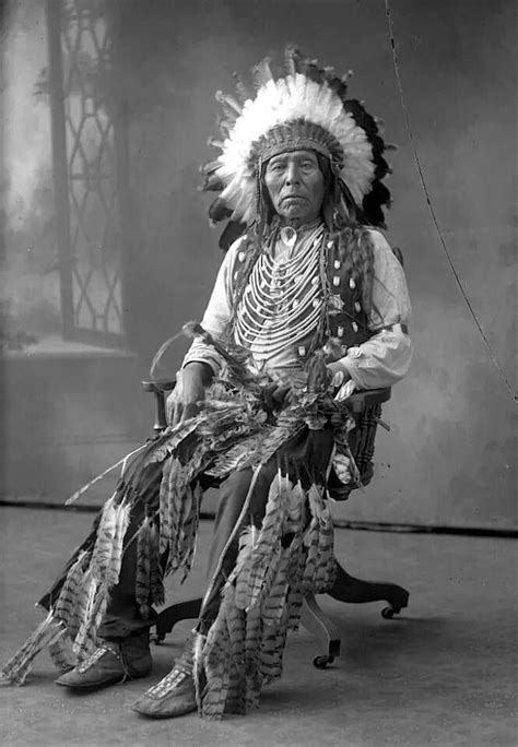 Wild Horse Dakota 1880 Native American Indians North American