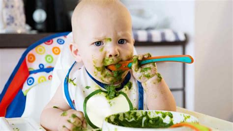 Baby Led Weaning Guia De Alimentación Complementaria Guiada Por El Bebé