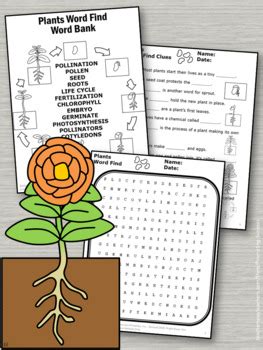 Science worksheets for grade 2. Plant Life Cycle Worksheets, Science Plants Unit ...