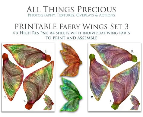 Printable Fairy Wings Set 3 Scrapbooking Clipart Digital Etsy