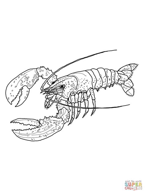 A happy printable coloring page. Maine Lobster coloring page | Free Printable Coloring Pages