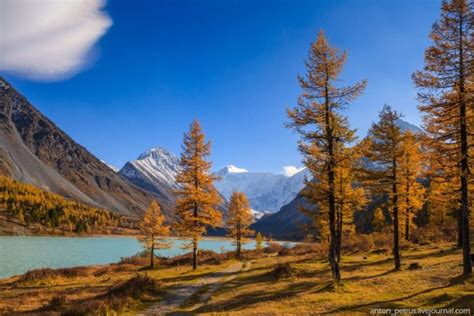 Altai Mountains The Heart Of Russia Vortexmag