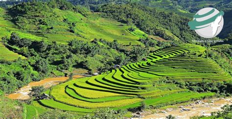 Apply for your australian passport at over 1,700 australia post retail outlets. Vietnam visa requirements for Tanzanian passport holders